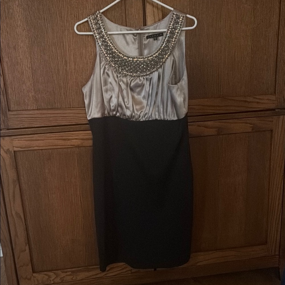 Elegant Black and Silver Dress